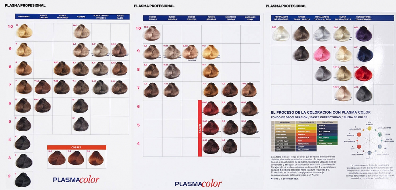 carta de colores plasma color
